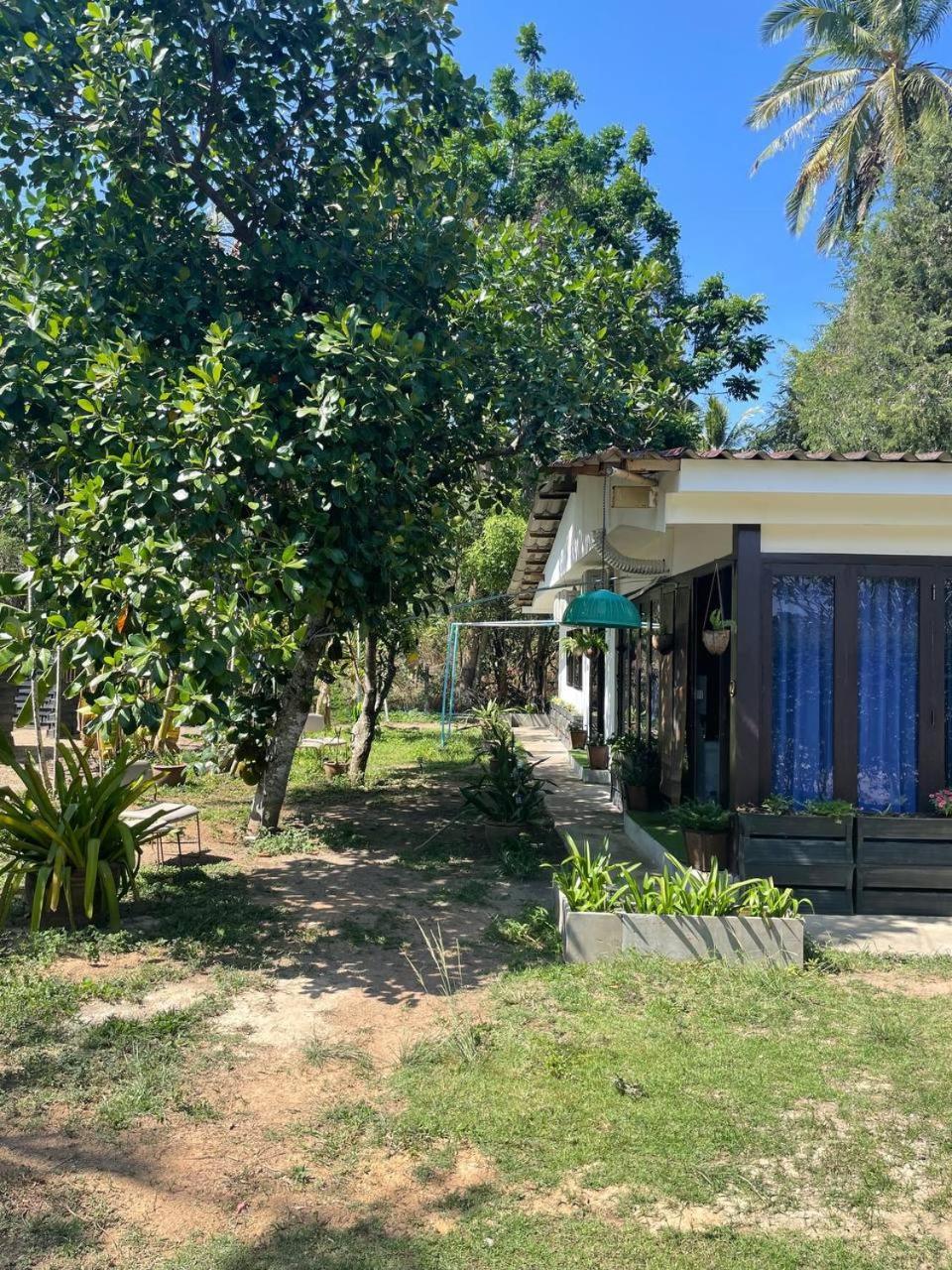 Maikhao Island 3 Guest house